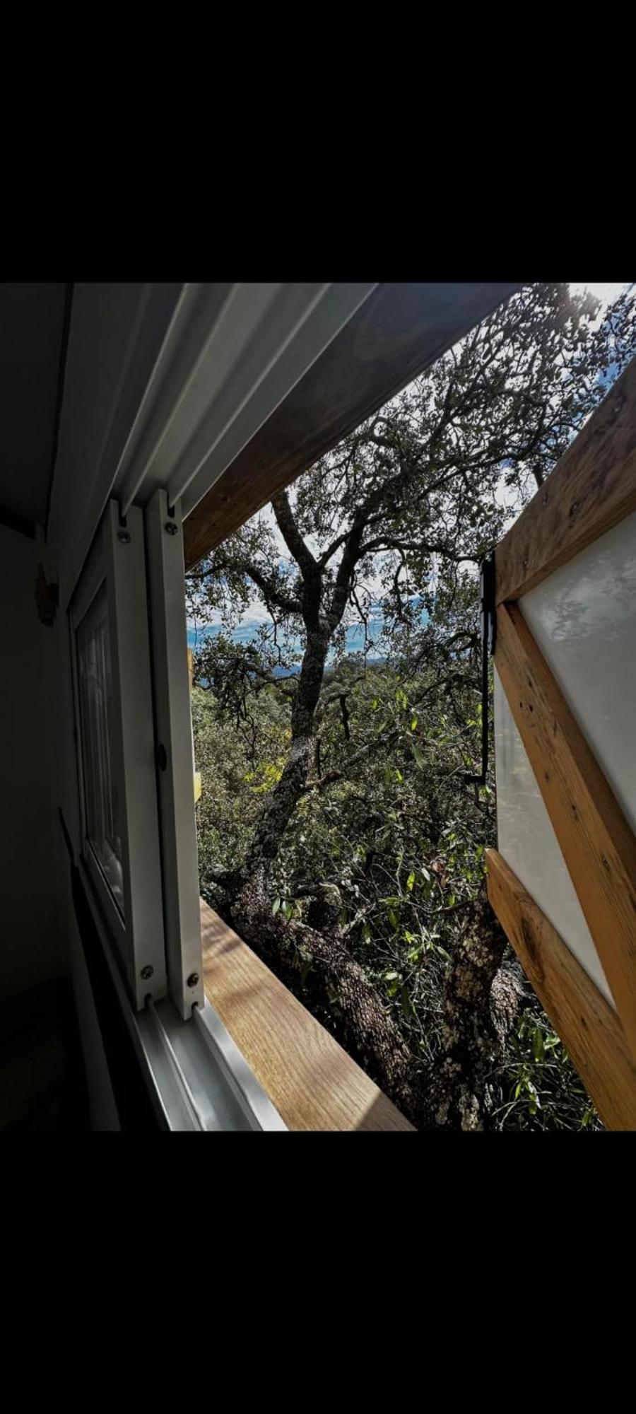 Cabana Del Arbol Lavagarural Villanueva del Rosario Extérieur photo
