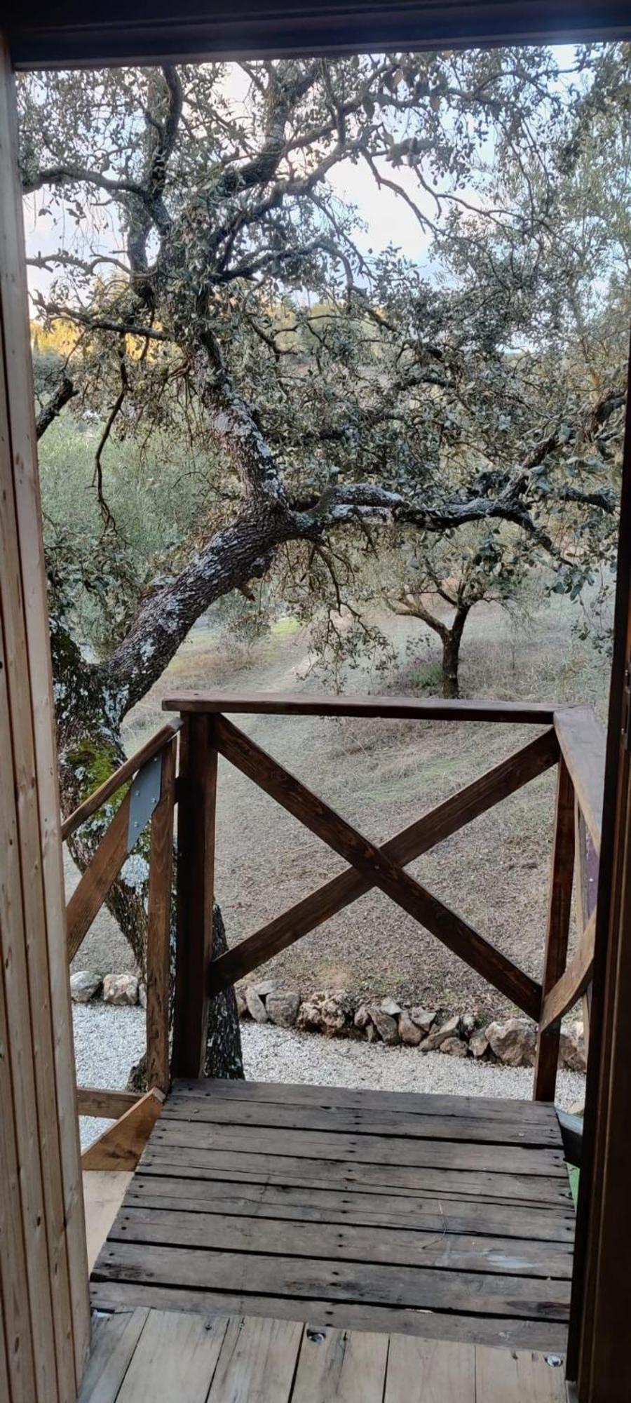 Cabana Del Arbol Lavagarural Villanueva del Rosario Extérieur photo